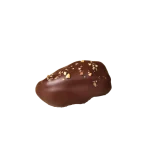 l'obsidienne maison dattier